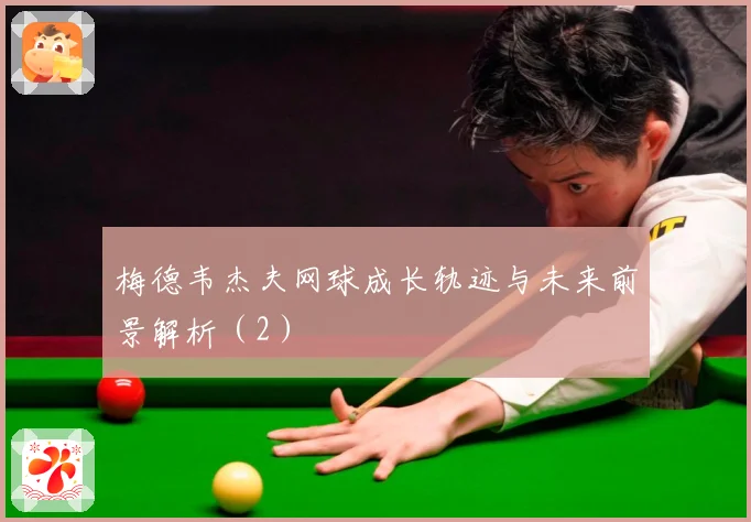 梅德韦杰夫网球成长轨迹与未来前景解析（2）