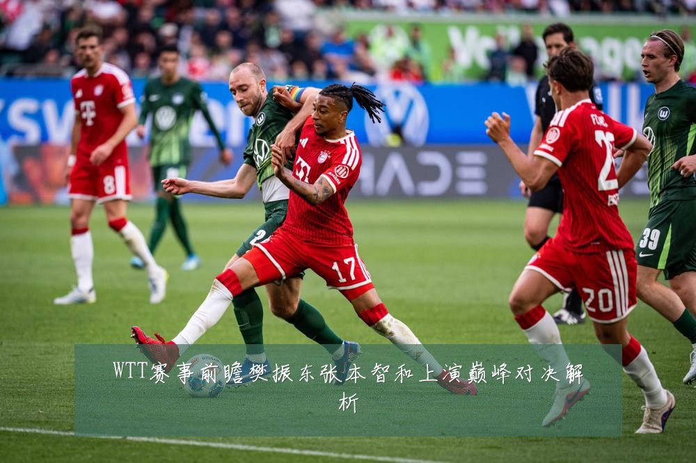 WTT赛事前瞻樊振东张本智和上演巅峰对决解析