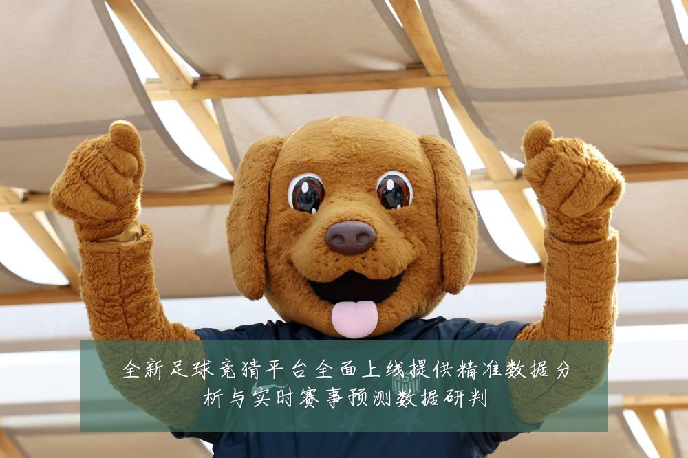 全新足球竞猜平台全面上线提供精准数据分析与实时赛事预测数据研判